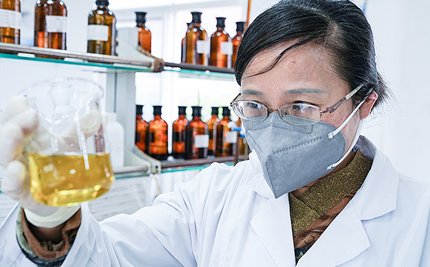 pp����ģ������������������۸� ���ı���