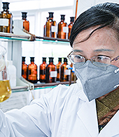 pp����ģ������������������۸� ���ı���