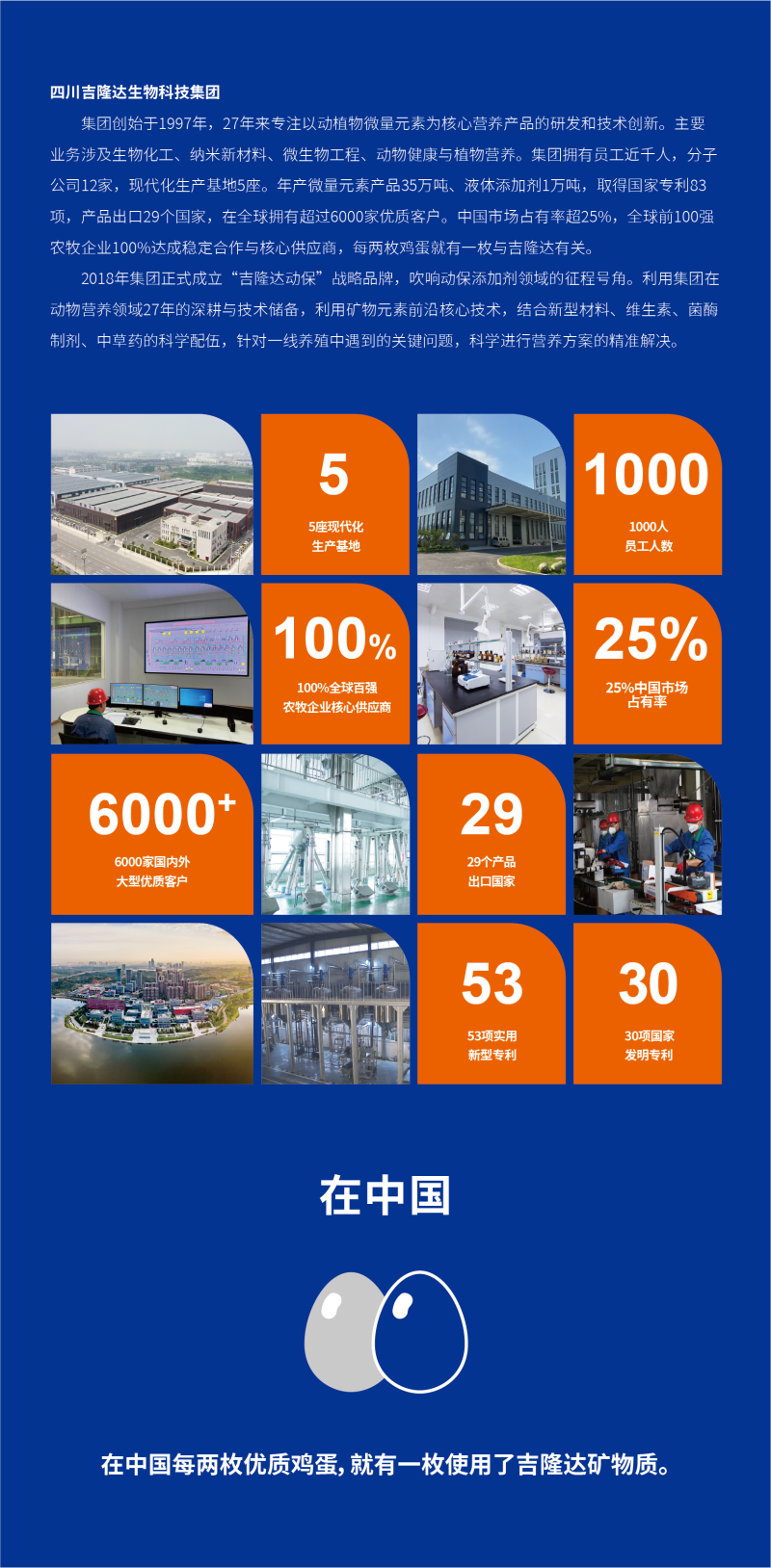 pp����ģ������������