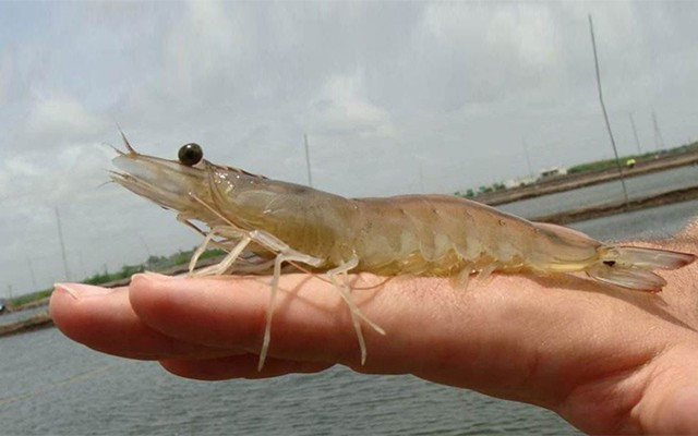 ��Ϻ��ˮ�ʵ�Ҫ��