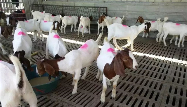 ����ҵ2018����ܽ�