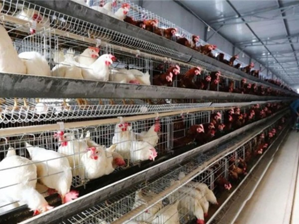 �����������½���ô����