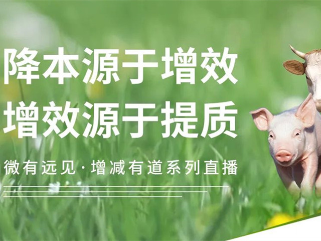 ������ֳ���ʵ�ֽ�����Ч