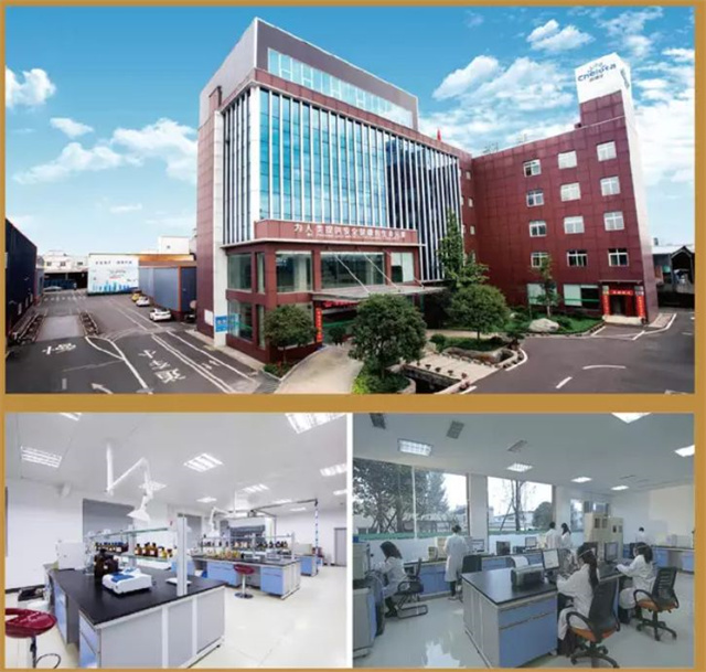 pp����ģ������������