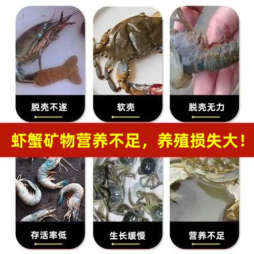 ˮ��΢��Ԫ���ٲ�