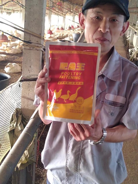 �������Ӽ�Ʒ��pp����ģ��������������