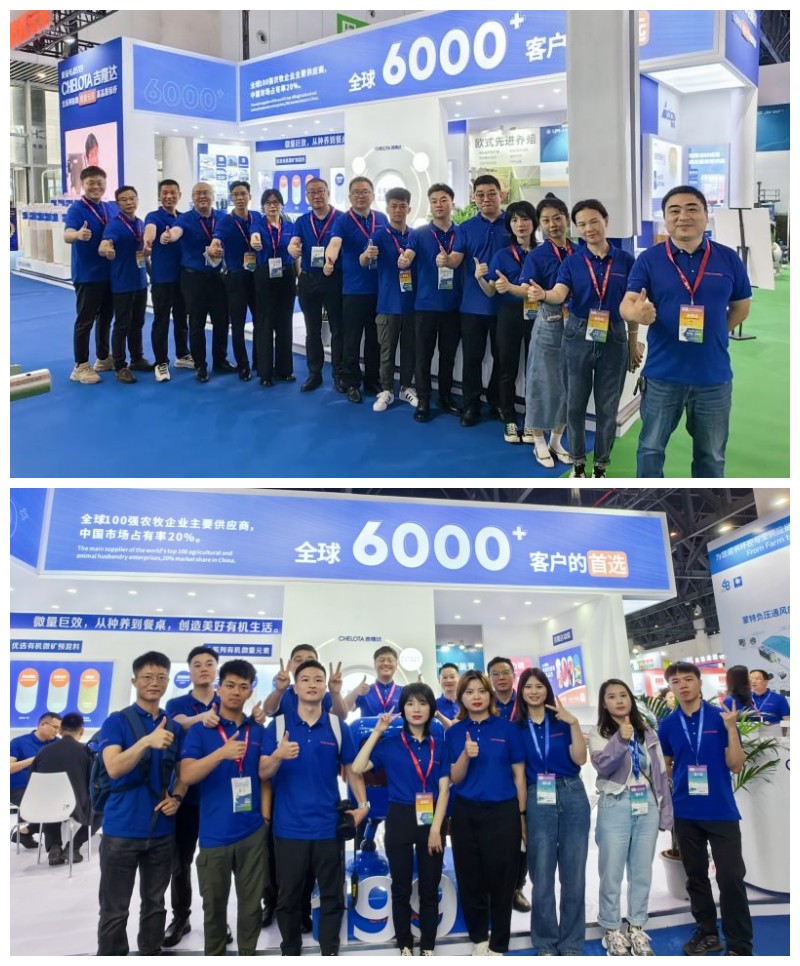 �󲩻�pp����ģ�������������Ŷ�