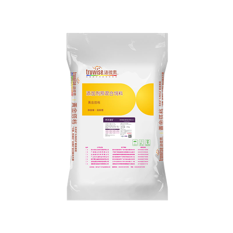 pp����ģ���������������������Ӽ�������