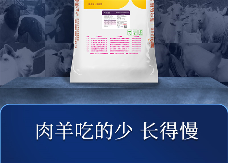 pp����ģ���������������������Ӽ��������Ʒ����