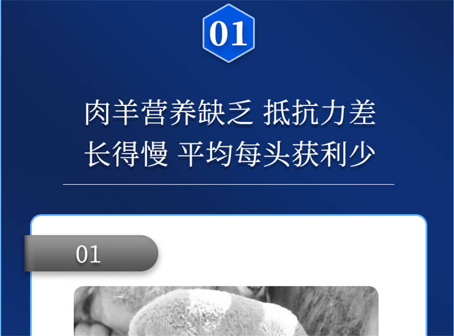 pp����ģ���������������������Ӽ��������Ʒ����