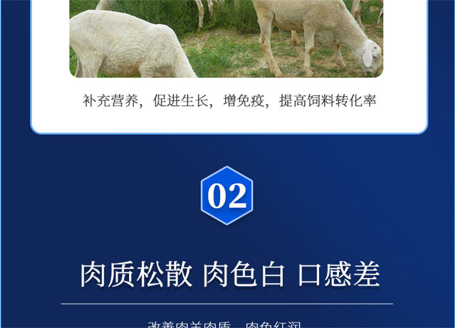 pp����ģ���������������������Ӽ��������Ʒ����