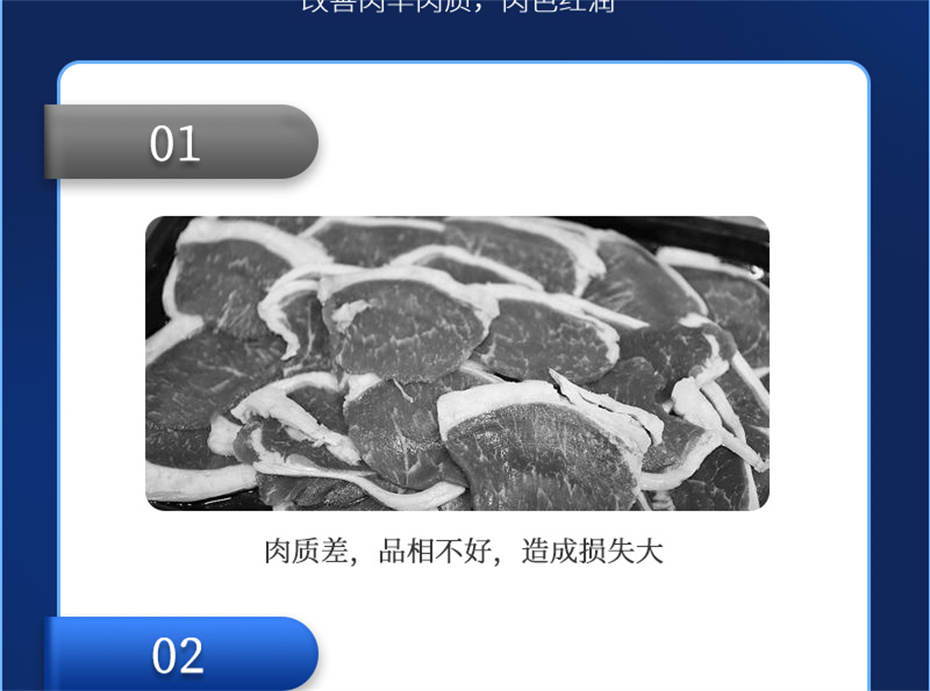 pp����ģ���������������������Ӽ��������Ʒ����