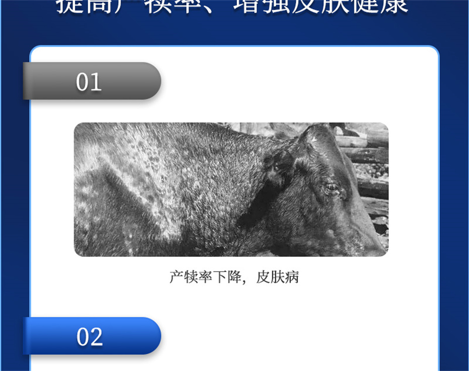 pp����ģ������������ţ���������Ӽ�����Ѫţ���Ʒ����