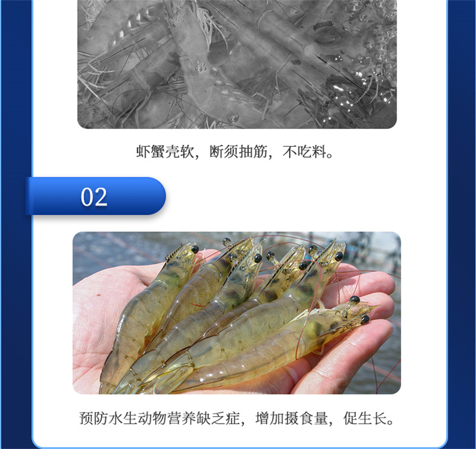 pp����ģ������������ˮ���������Ӽ�ά��1�Ų�Ʒ����