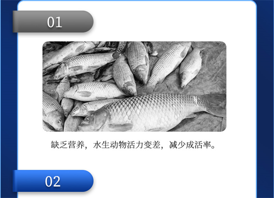 pp����ģ������������ˮ���������Ӽ�ά��1�Ų�Ʒ����