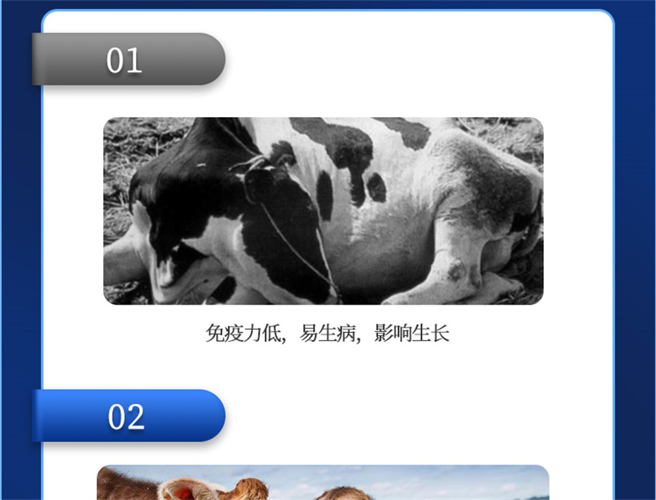 pp����ģ������������ţ���������Ӽ�����Ѫţ���Ʒ����