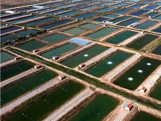 Ϻ��΢��Ԫ��ȱ����ԭ��