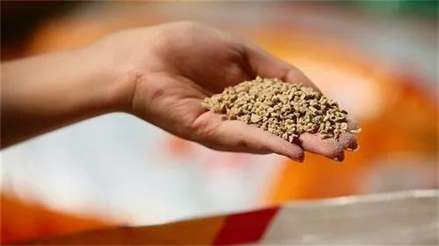 ����ȫ�������Ӱ��