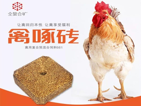 ����ש����������ܸı�ʲô��