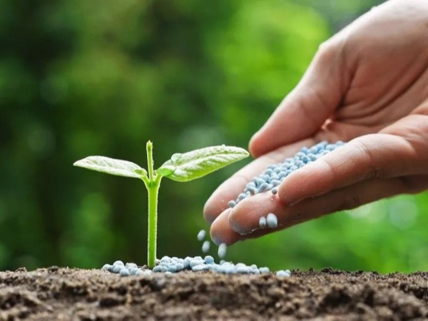 �߲������ʩ����