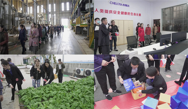 �������Ӽ�����pp����ģ��������25������