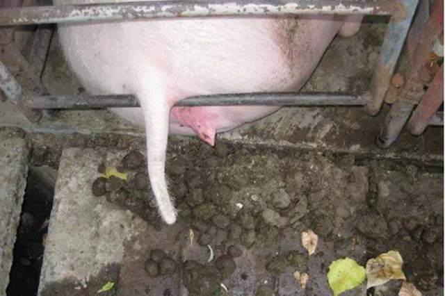 ĸ�����ص�����