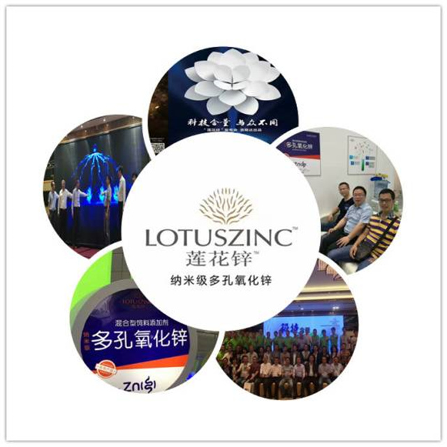 pp����ģ���������������п