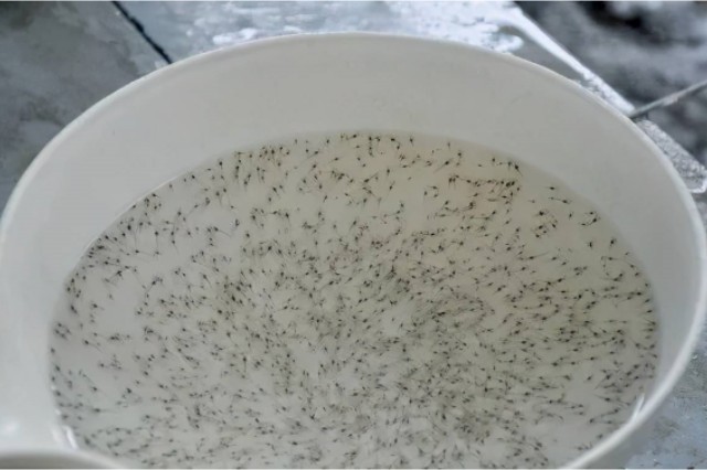 ��Ϻ�����Ҫע��ʲô