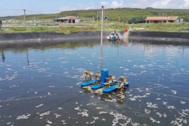 ��Ϻ������ʲôԭ��