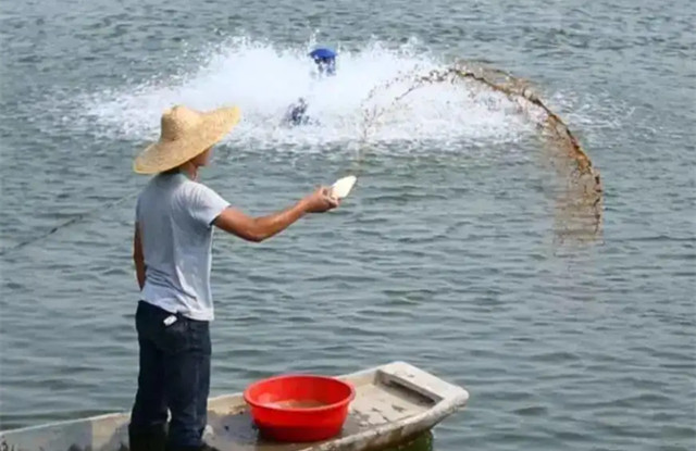 ��Ϻ���Ƶ�ʱ��