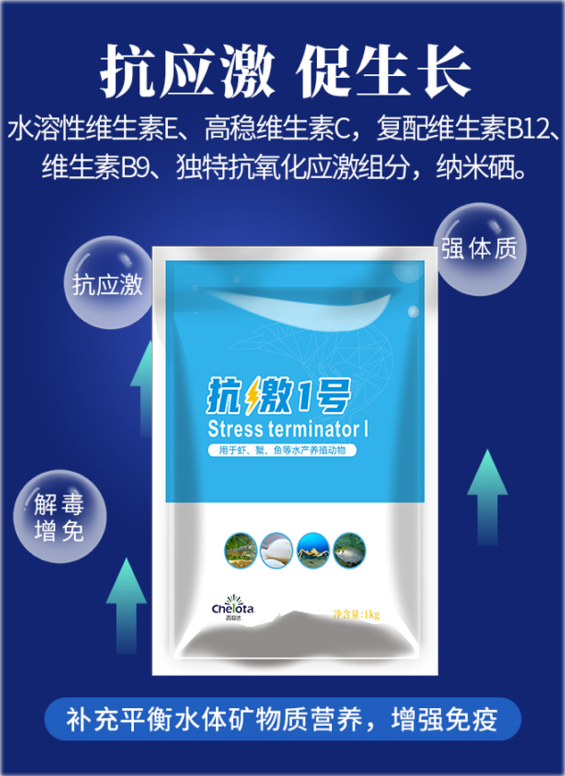 pp����ģ������������1��