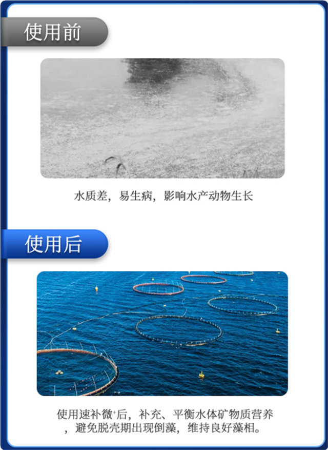 pp����ģ���������л�΢��Ԫ���ٲ�΢+��Ϻ����Ч��