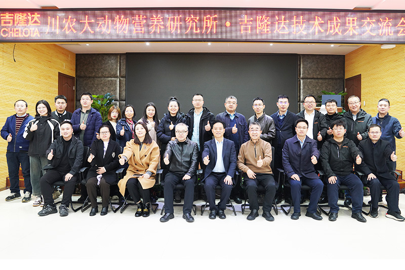 pp����ģ�������������ɹ�������