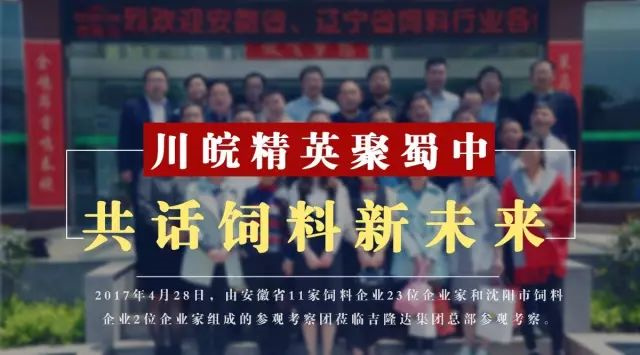 ����������ҵ�ι��л�΢��Ԫ�س���pp����ģ��������