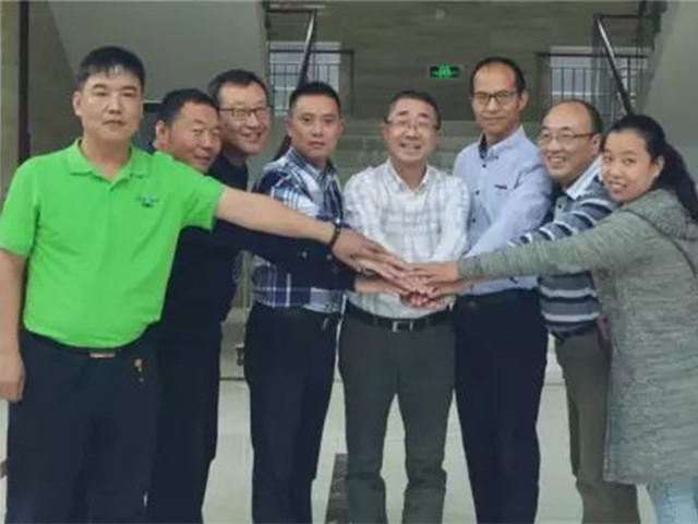 �л�΢��Ԫ�س���pp����ģ��������