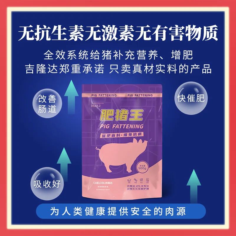 pp����ģ���������������Ӽ�������