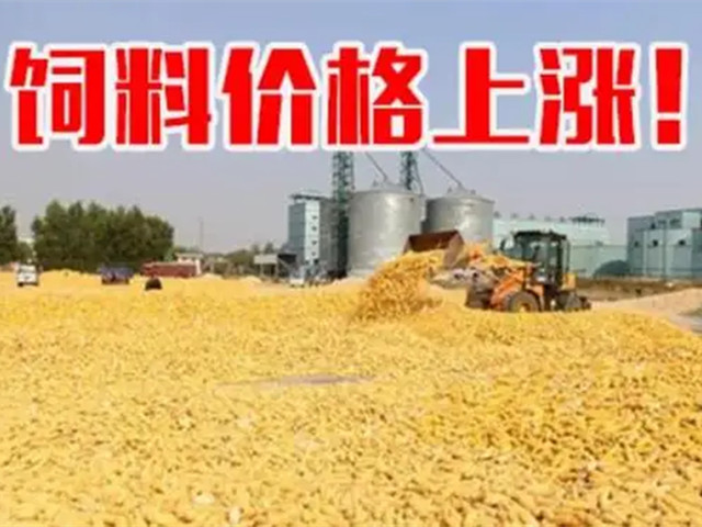 �ں����ϼ۸��ٴ����������ϳ�Ҳ�п࣡�ﶬ������Ҫ�Եø�������