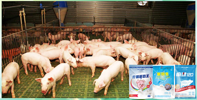 pp����ģ�������������������Ӽ�