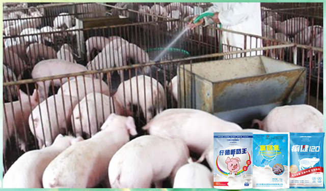 pp����ģ�������������������Ӽ�