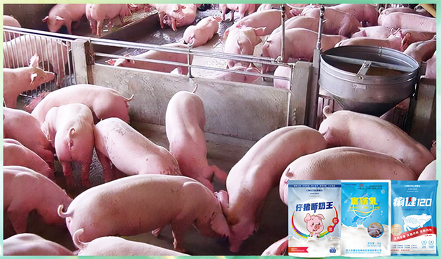 pp����ģ�������������������Ӽ�