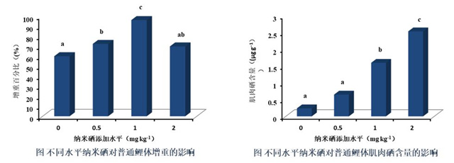 �������Ӽ�