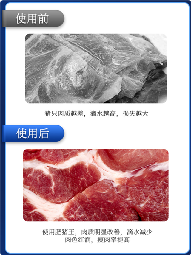 pp����ģ��������-������ʹ��Ч��