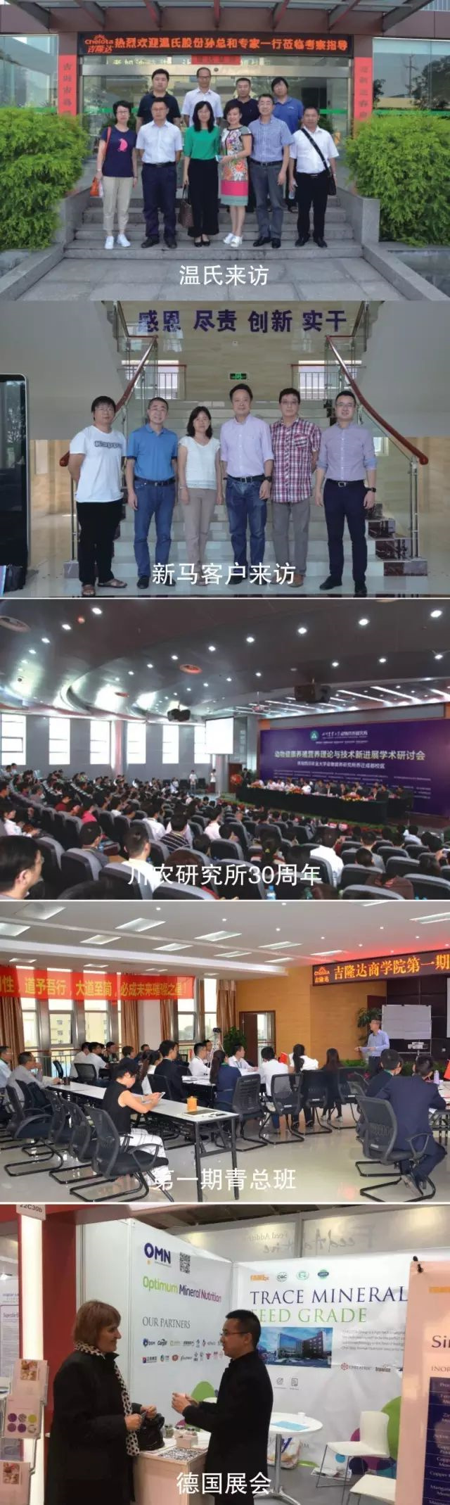 �л�΢������pp����ģ��������2016���¼�