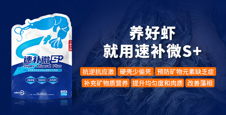 ����Ϻ�������ٲ�΢s+