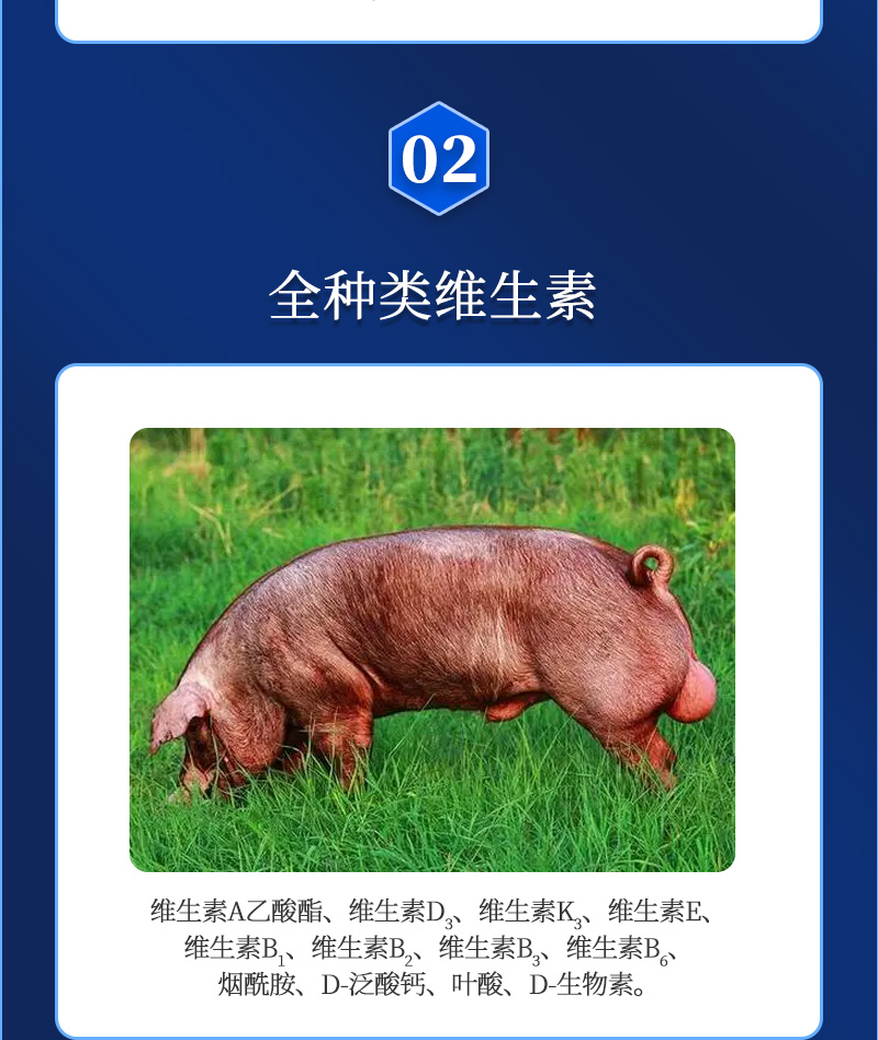 ��ά��ʦ����_03