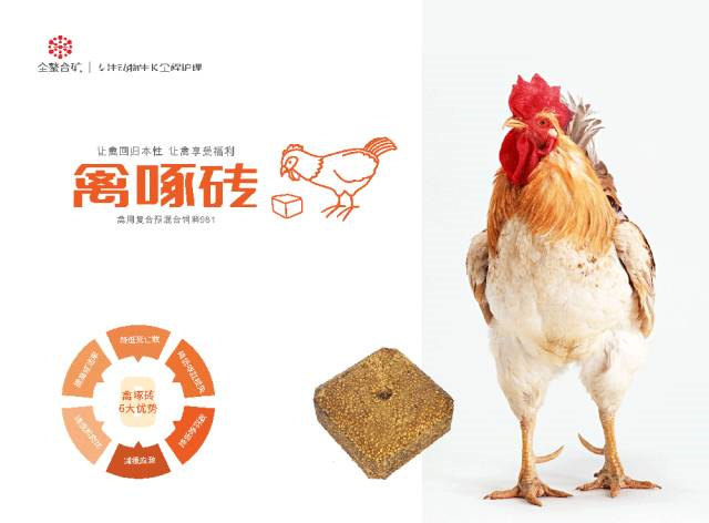 �л�΢��Ԫ�س���pp����ģ������������ש