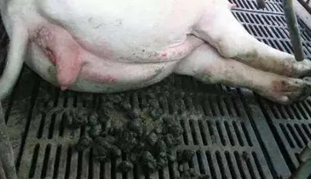 ĸ�����صı���