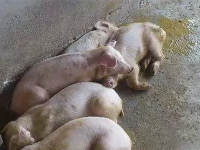 ������������2022�궬����������������к֢״�������������������ղأ�