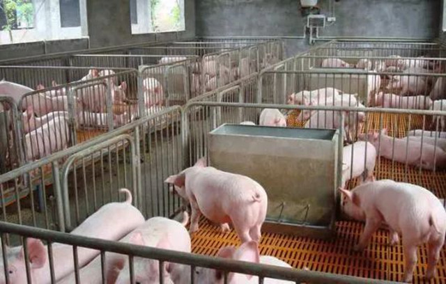 �������ô��