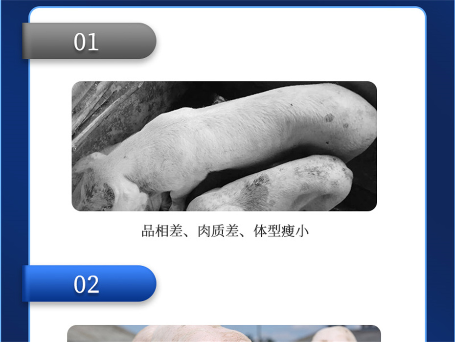 pp����ģ���������������������Ӽ�ĸ��ͨ��Ʒ����